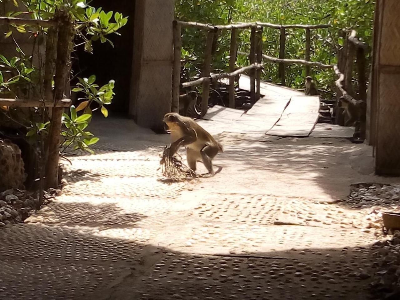 Bintang Bolong Lodge Eksteriør bilde